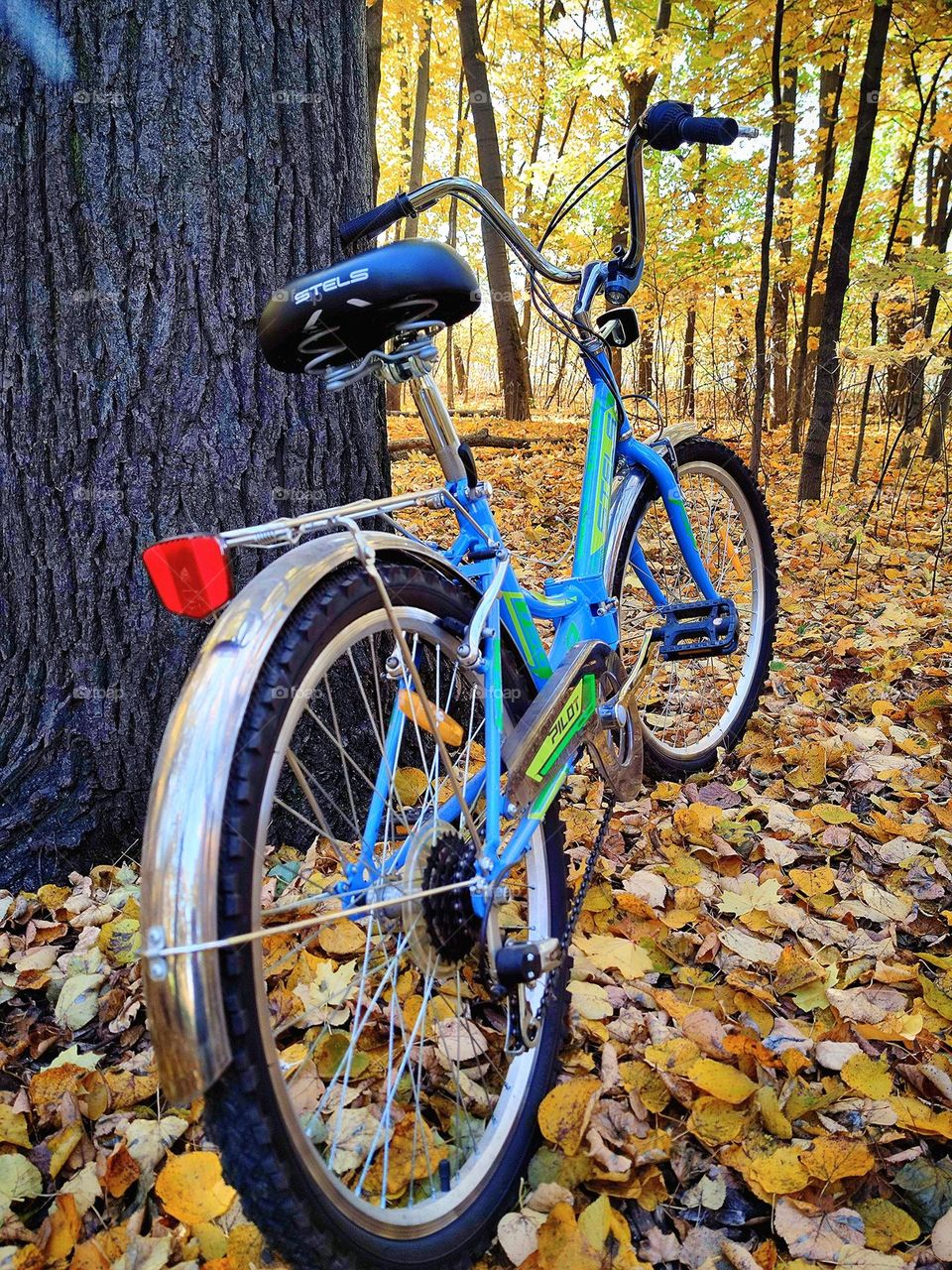 Bicycles.  There is a bicycle near the tree trunk.  Autumn leaves lie around the bike