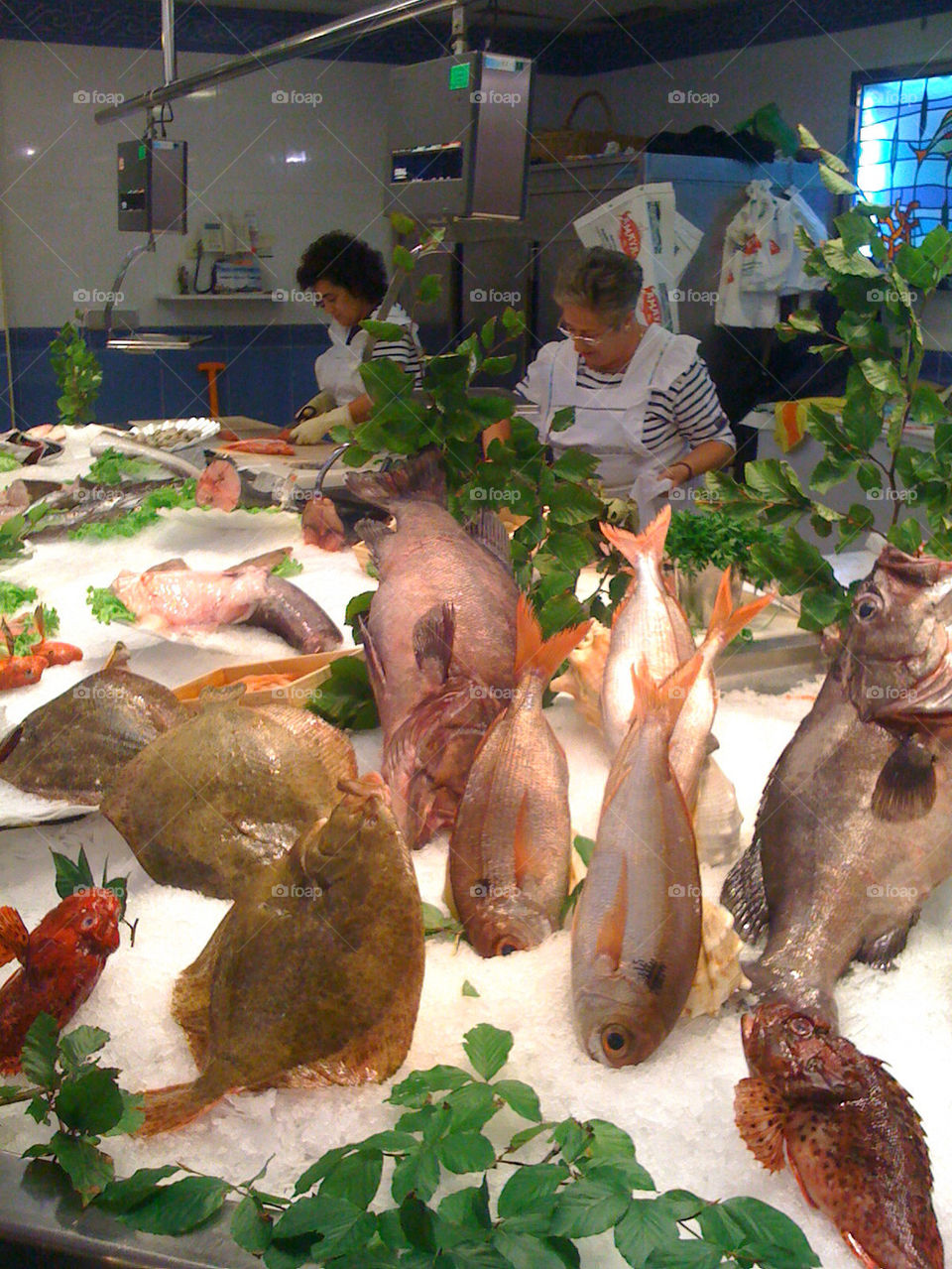 travel food fish market by mikaelnilsson