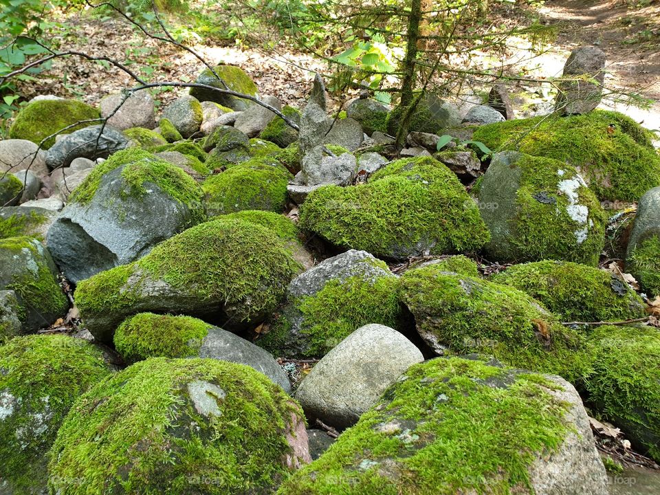 stones at wood Pokaiņi