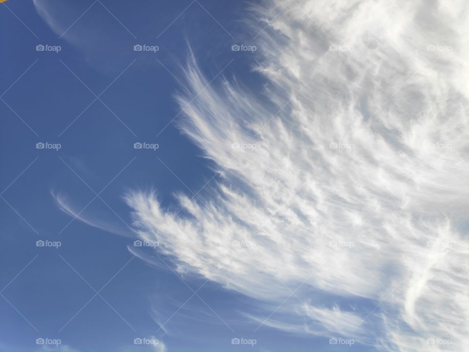 feathers of clouds