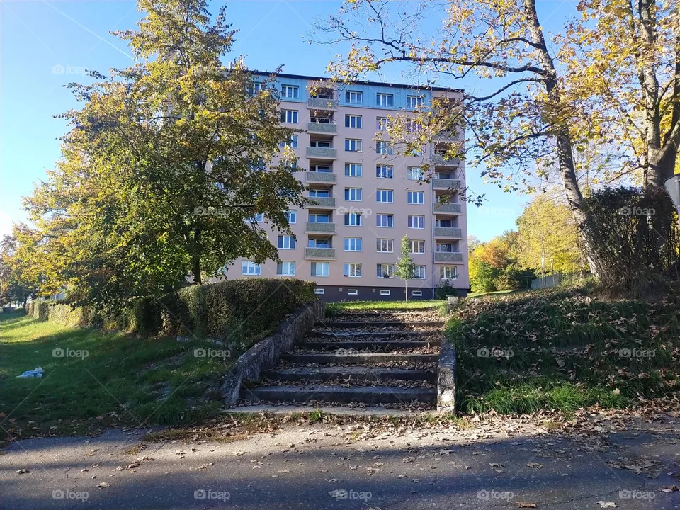 autumn in the city