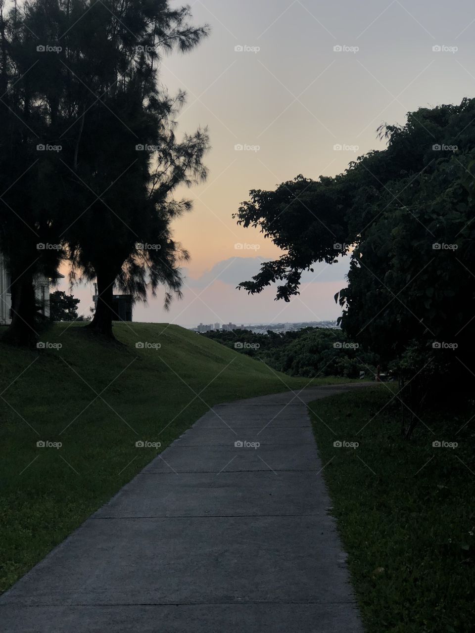 No Person, Tree, Landscape, Road, Outdoors