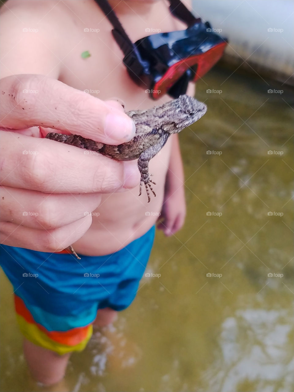 Little boy wearing swim trunks holds lizard he found while playing in woods at lake.