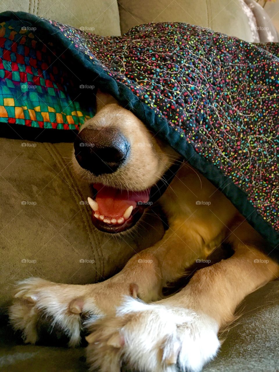 Mouth under a blanket