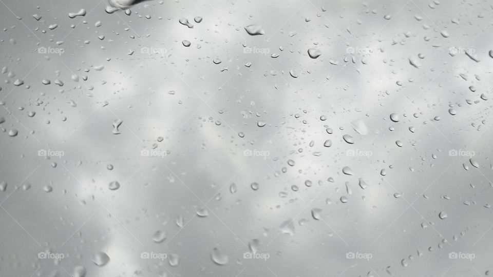 Rain water drops