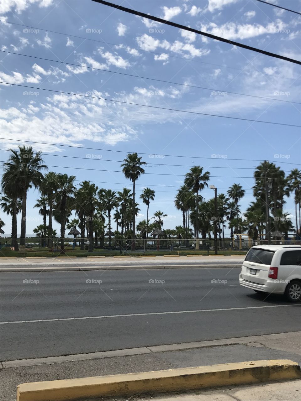 Driving past some beautiful palm Trees in South Padre Island, Texas for Spring Break 2018! 🌴