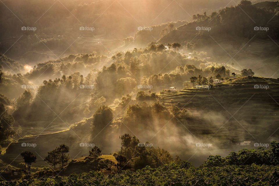 a foggy morning in vegetable farm in Benguet, Philippines