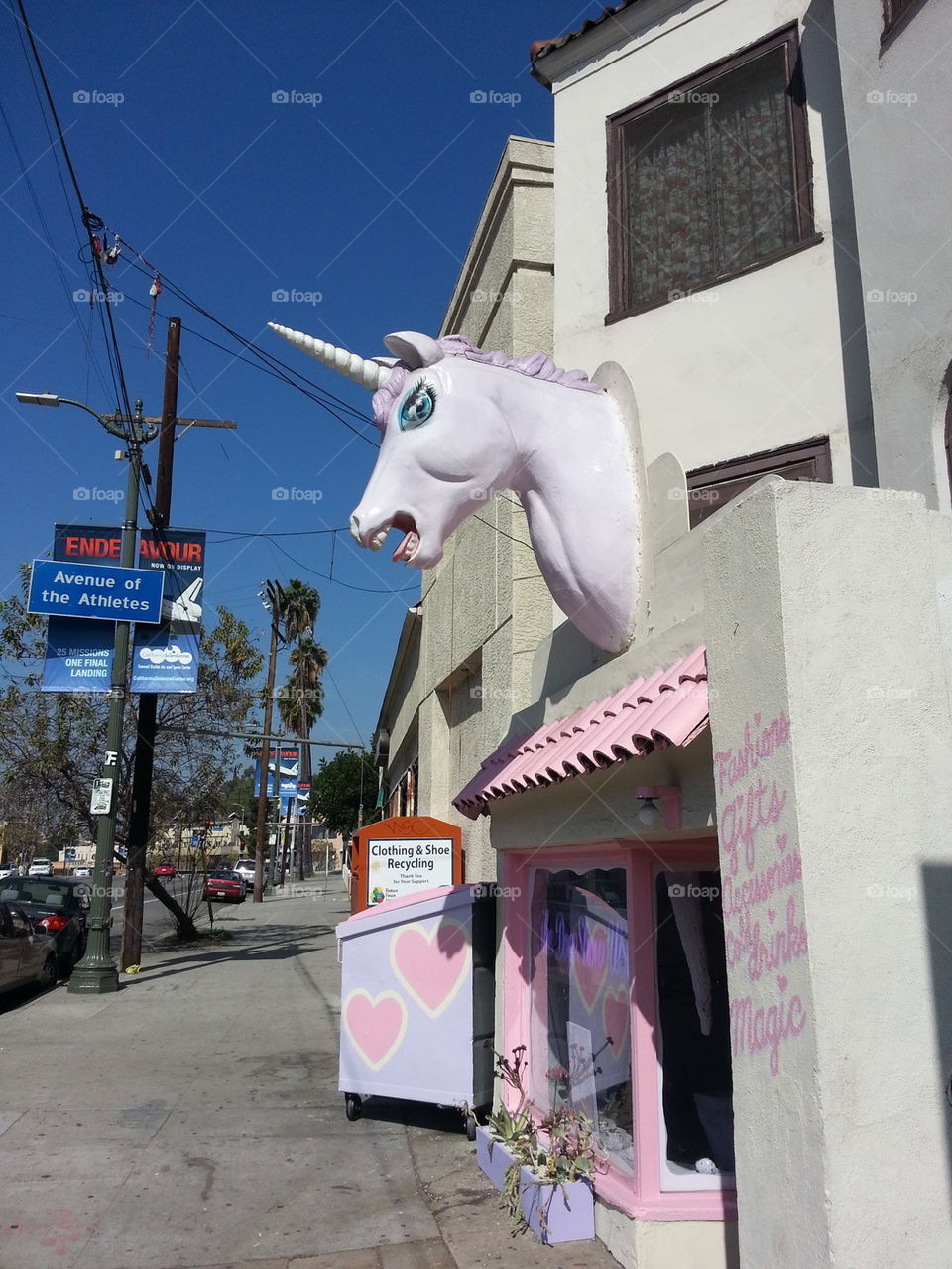 echo park unicorn