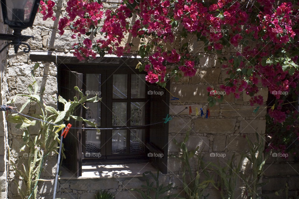 Detail of the facade of traditional house with blooming flowers