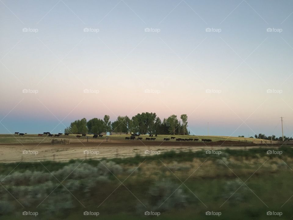 Landscape, No Person, Sky, Cropland, Agriculture