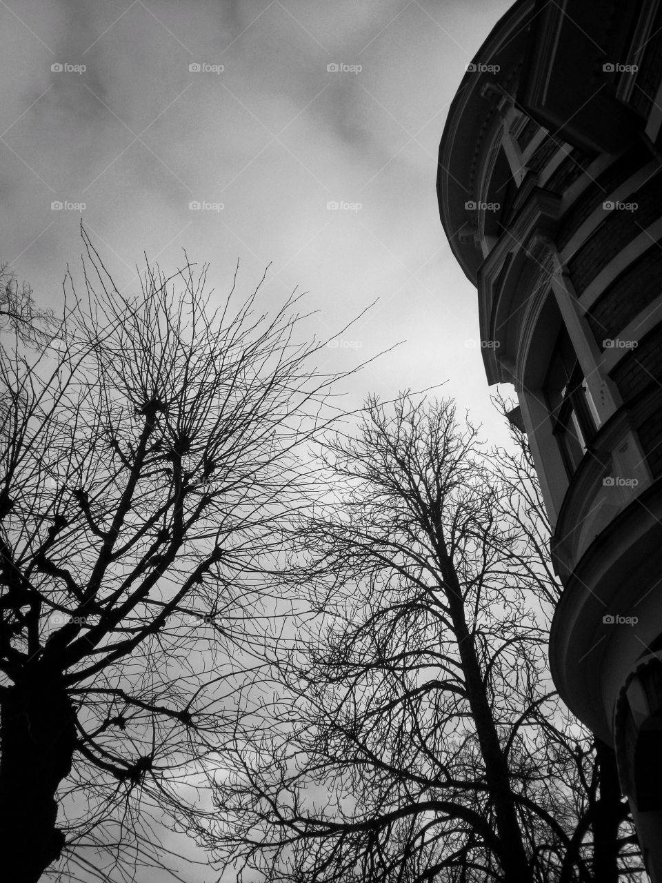 "The most colorful thing in the world is black and white, it contains all colors and at the same time excludes all."
~ Vikrmn, 10 Alone