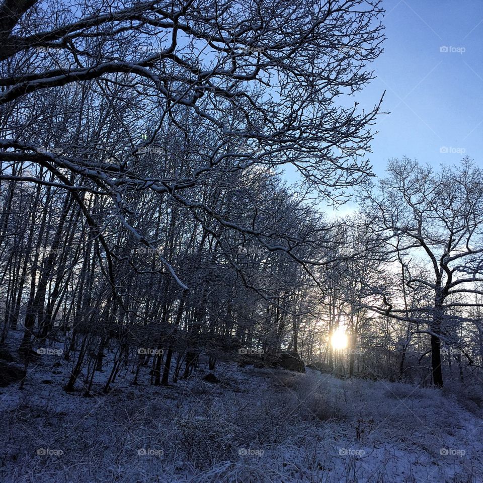 An early morning run in the Spring snow. 