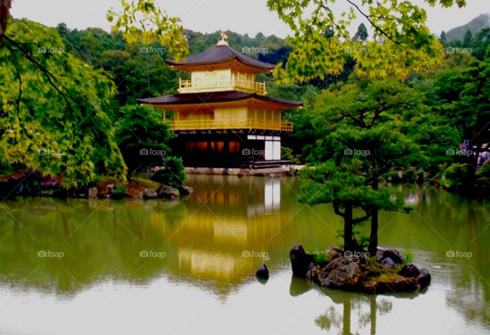 Kinkakuji/ gold temple . Photo was taken in Kyoto Japan 