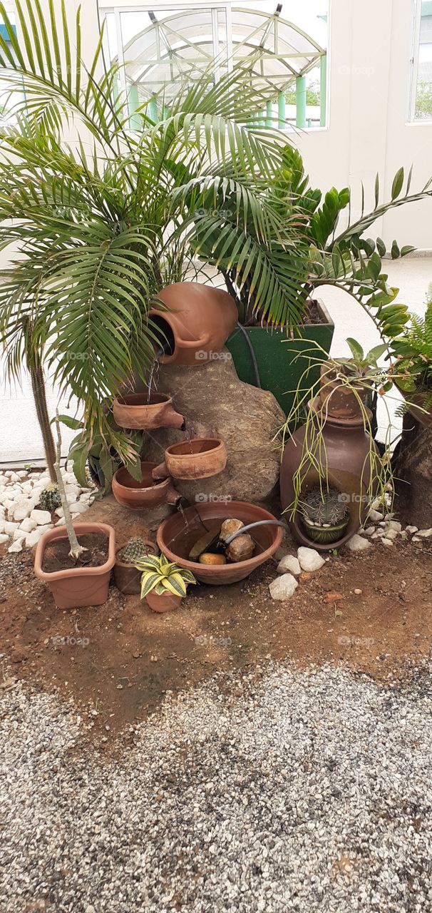 potes e bacias de argila e plantas