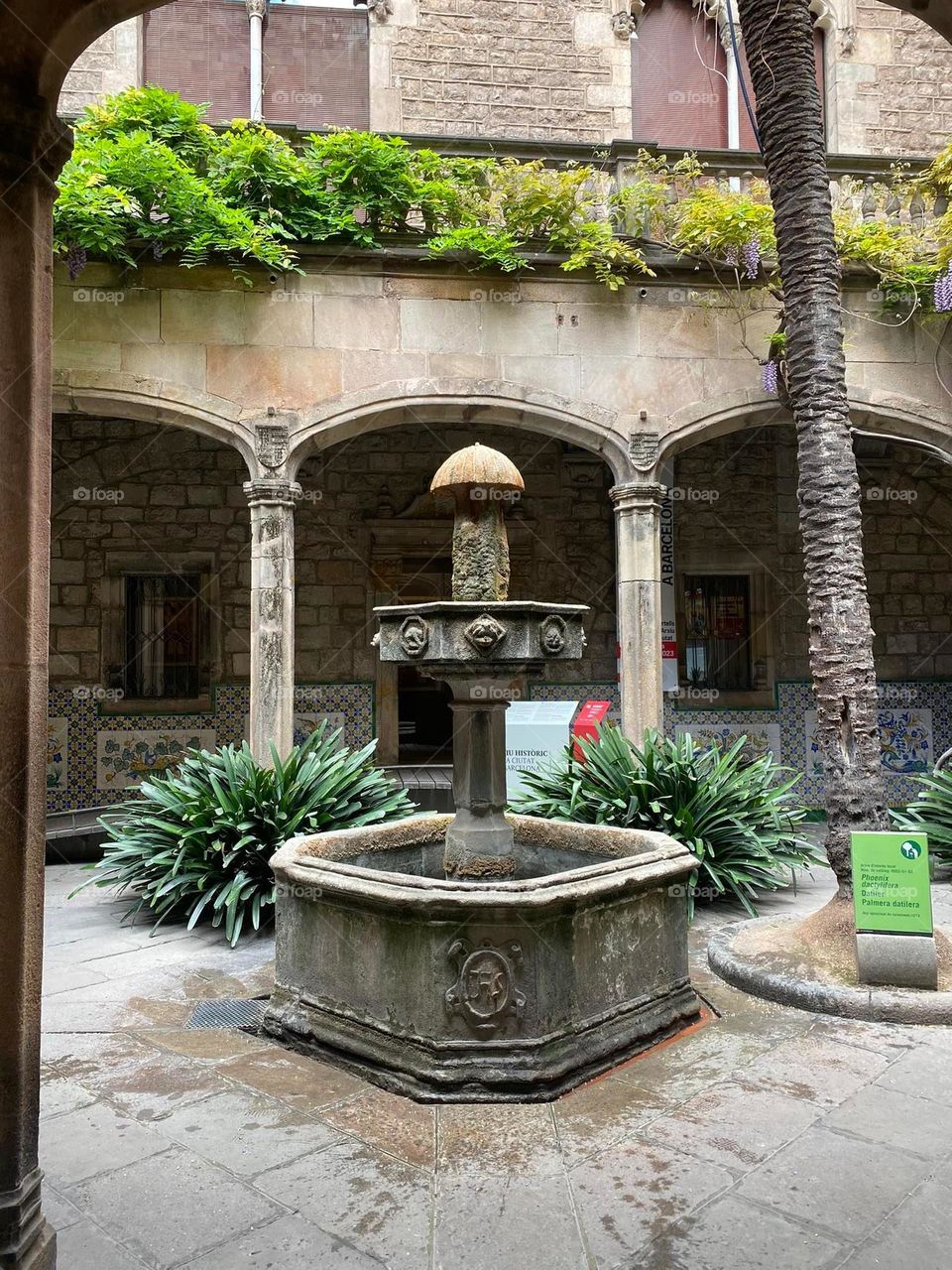 stay in barcelona, ​​spain