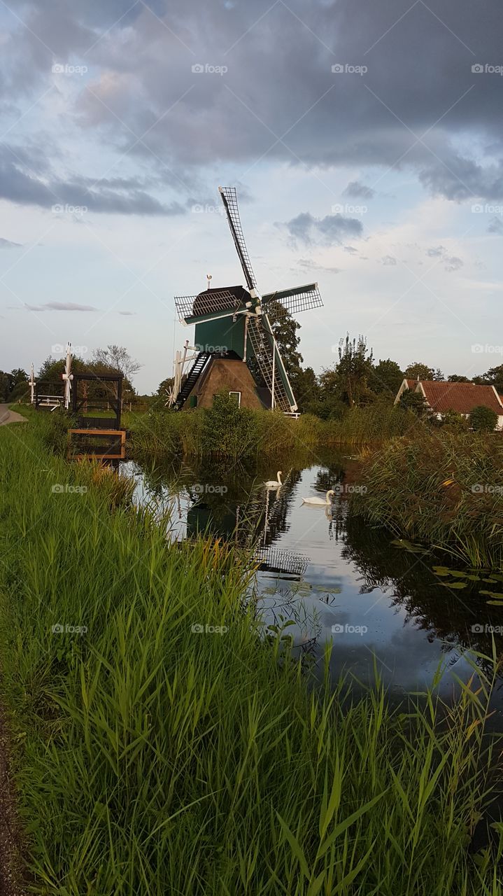 windmill in the Netherlands
