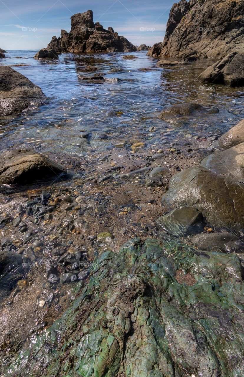 The Beach Near Brookings, Oregon