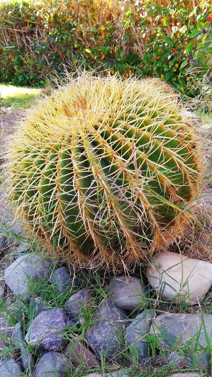 geometry series circle