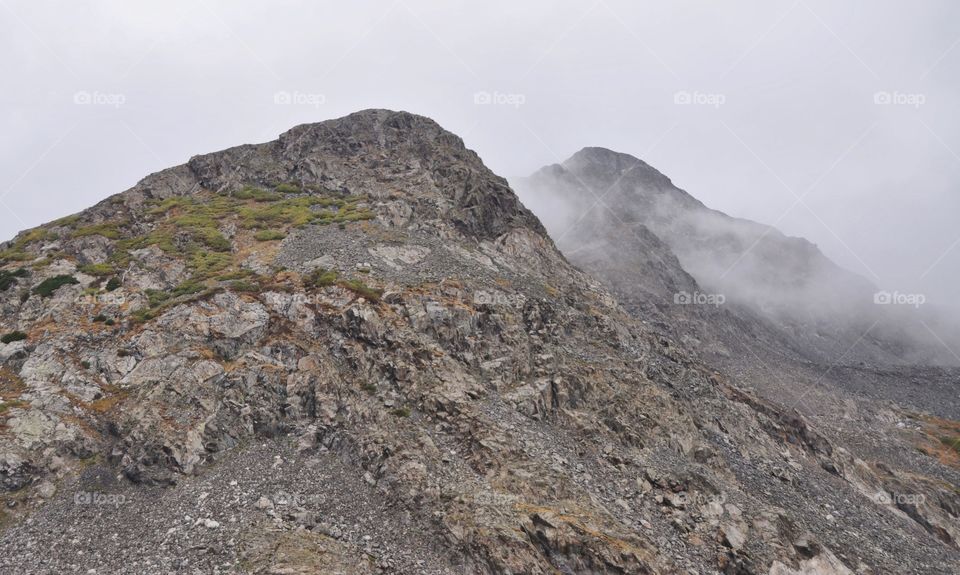 Clouds descend on a mountains summit on an extremely Gray day. Pops of alpine plants add color.