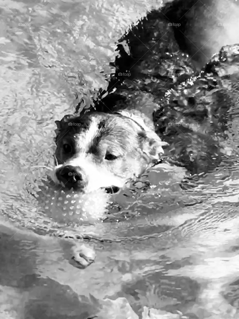 Staying in shape by swimming 