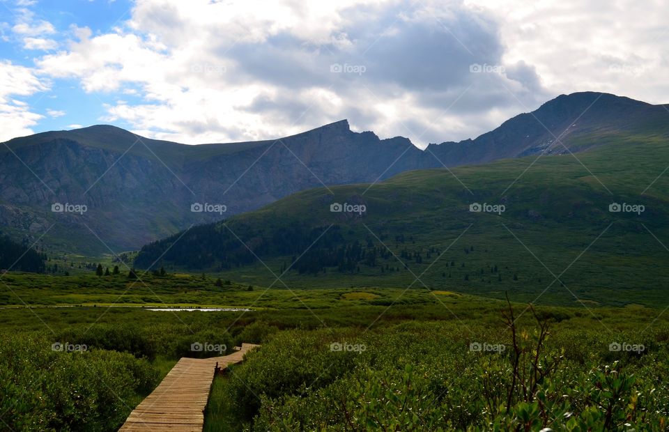 Bridging the gap between humans and nature 