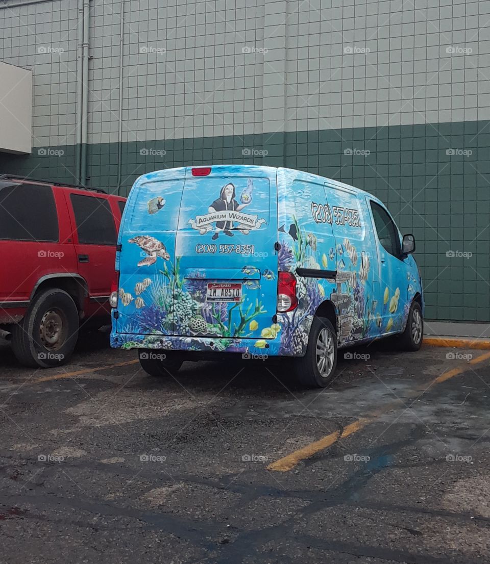 fun and painted aquarium van