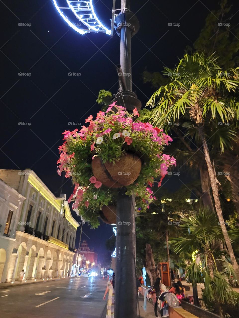 plantas en ciudad