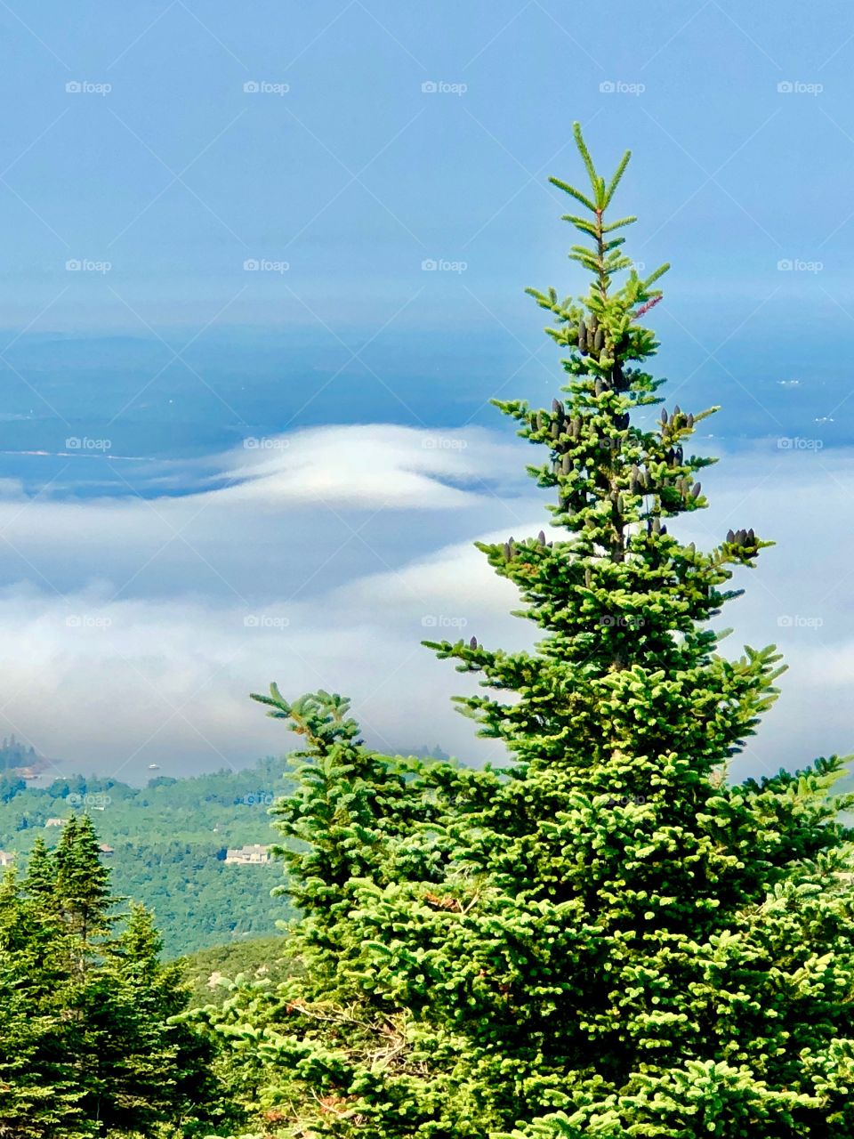 Scenic aerial view from atop Cadillac Mountain, the highest point in Acadia National Park in Bar Harbor, Maine. A thick layer of clouds and fog cover the horizon obstructing the view of the landscape and valley.