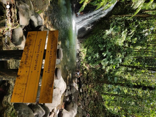 Nature tropicale 