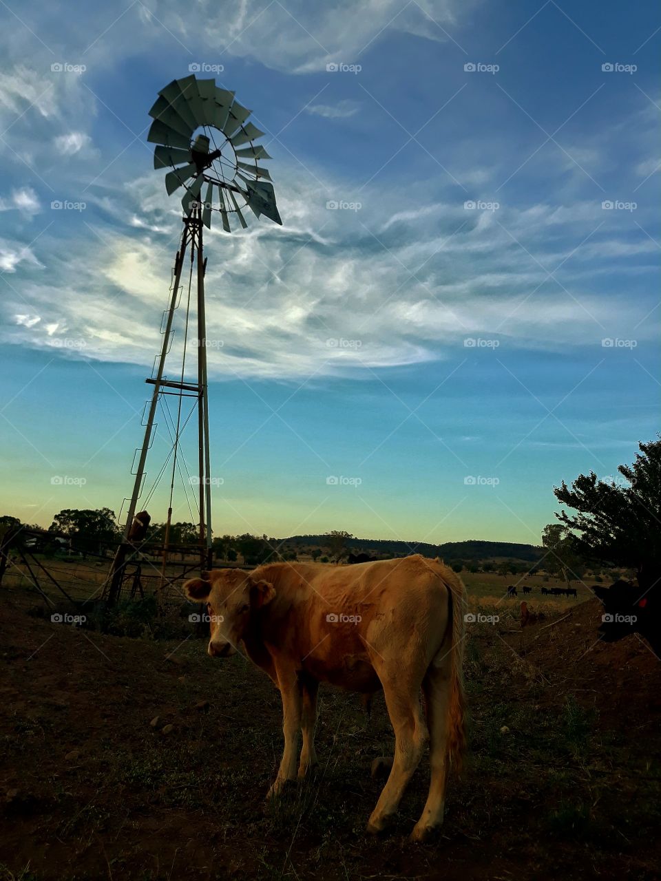 The end of a Beautiful day