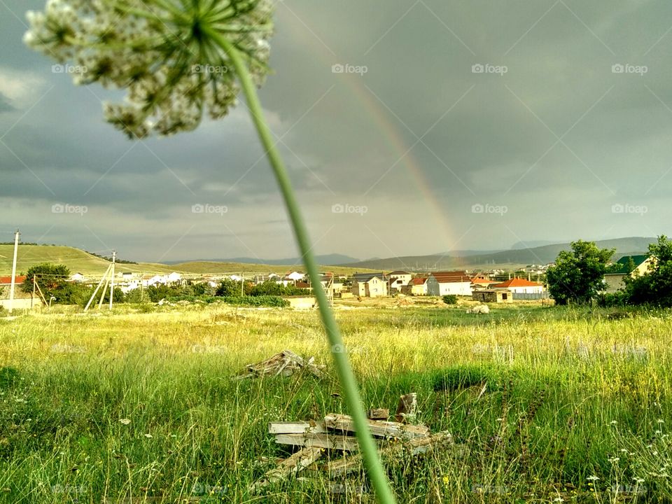 green color by foaр missions,lush green grass in the spring, after the rain, it is so fresh around, and a rainbow appeared in the sky!