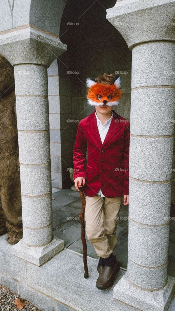 Mr. Fox