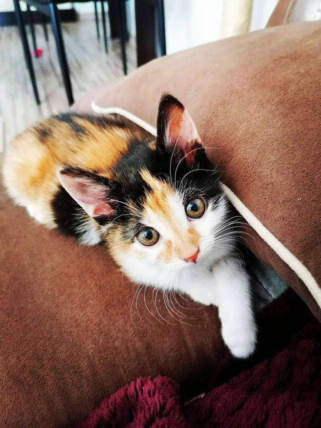 Lucy looking cute