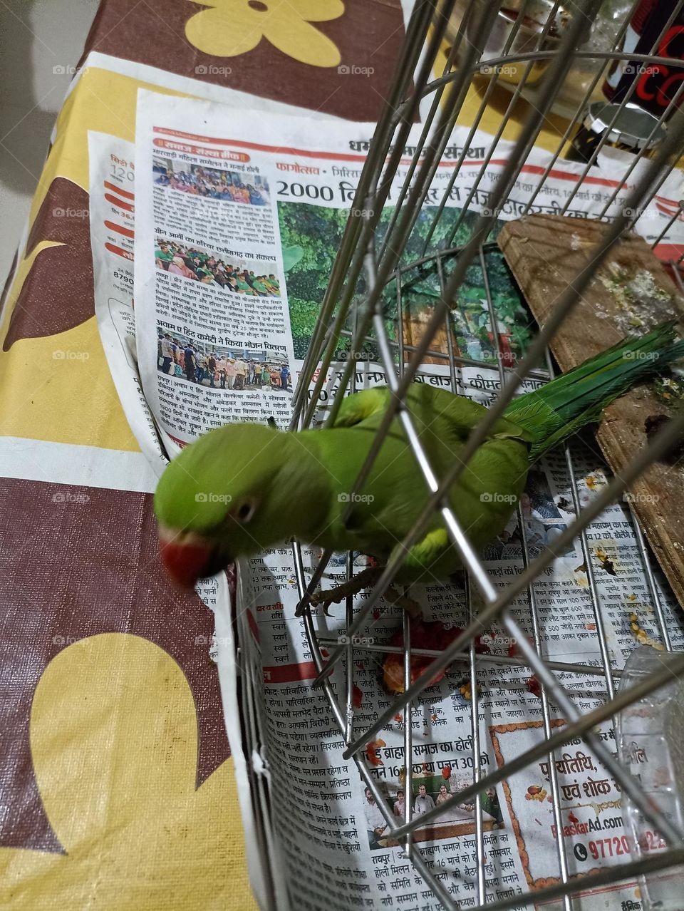 playing with news paper