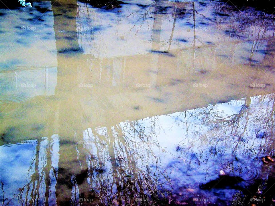 Reflection on a rain pond