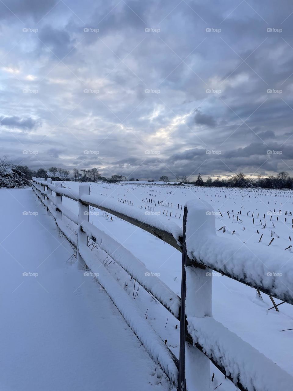 The beauty of winter