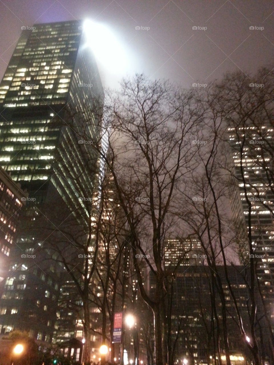 Winter Manhattan Buildings
