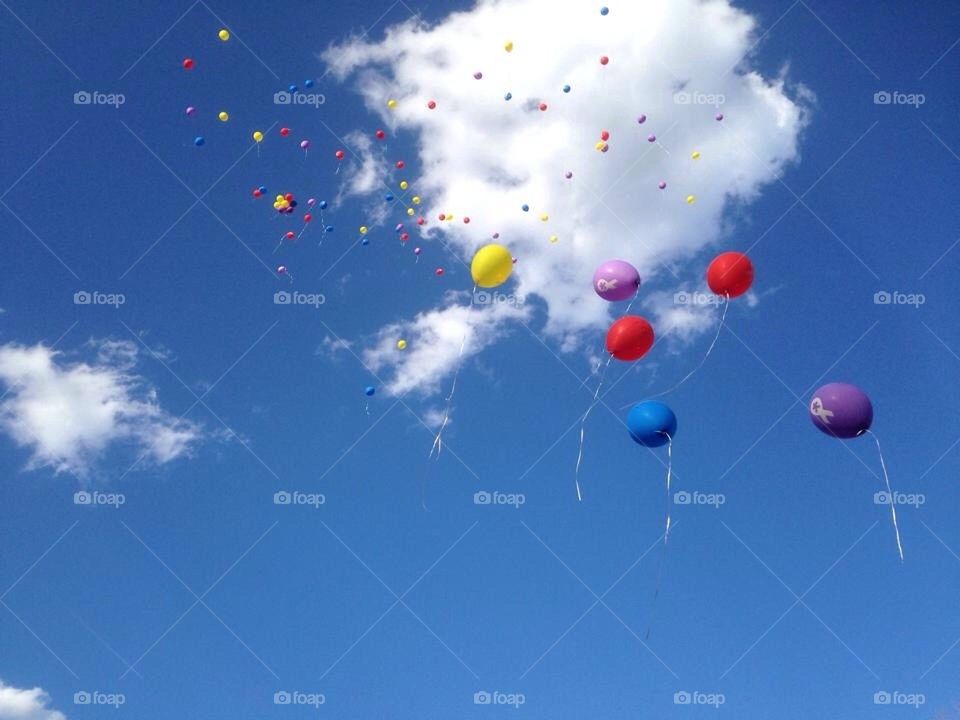 Blue sky. Balloons . Ky.  Celebrate