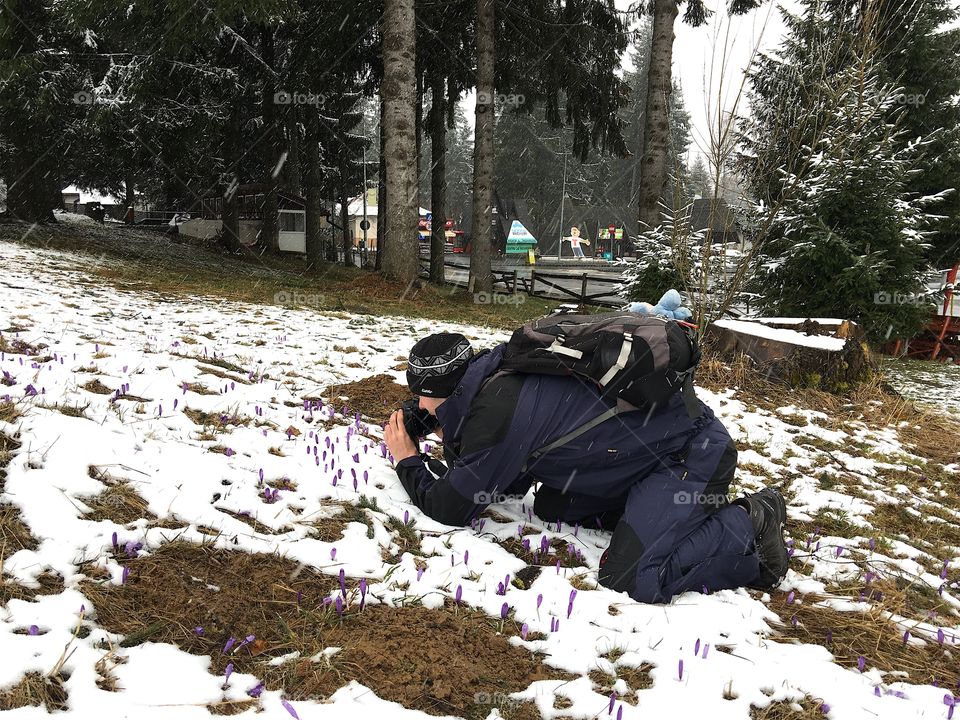 Chasing the first spring crocus 