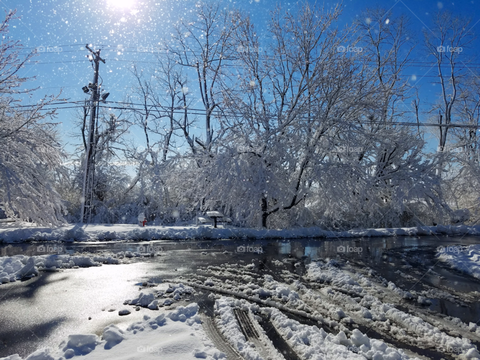 Ice has settled over the world and brought things to a quiet stop.