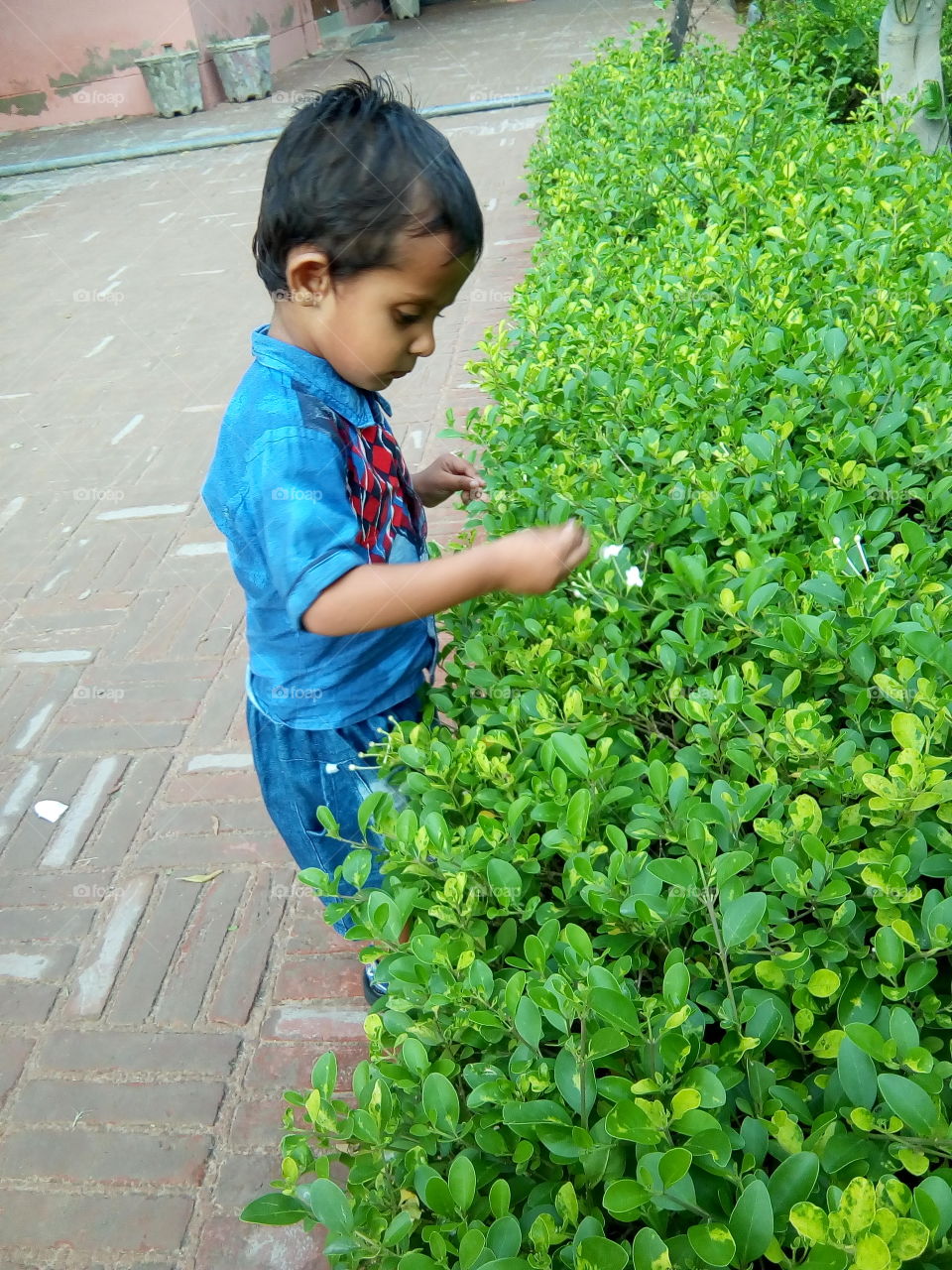 a little boy playing in an ancient fort of Bathinda city- a monument protected by Govt Of India- inner part