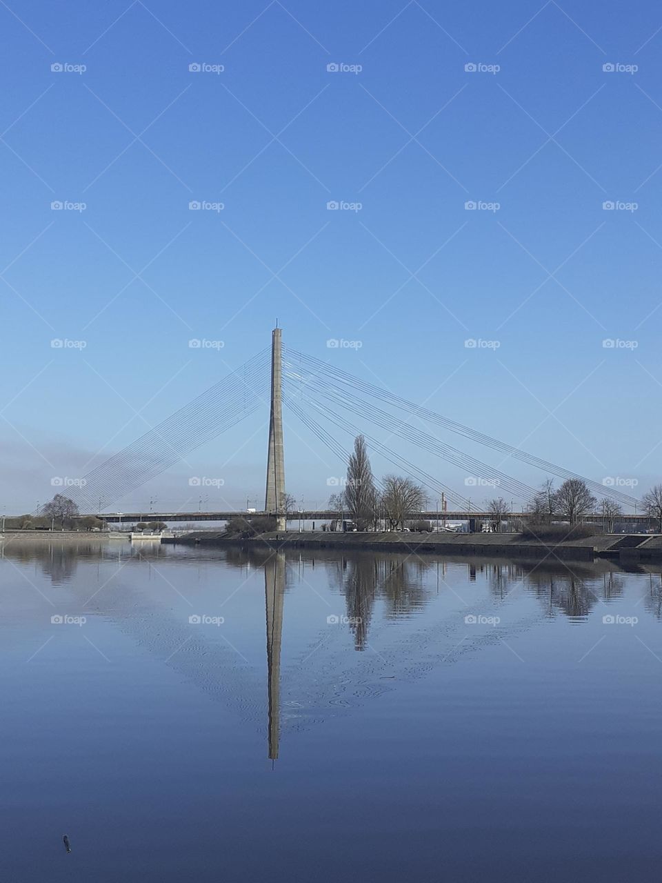 Вантовый мост