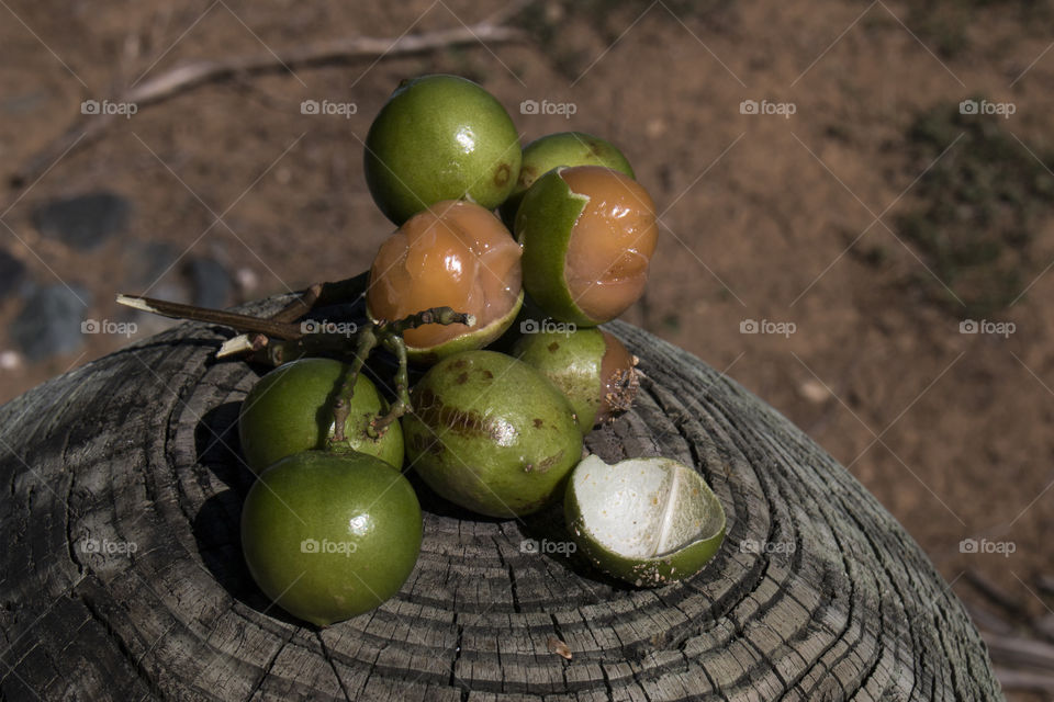 Stack of quenepas