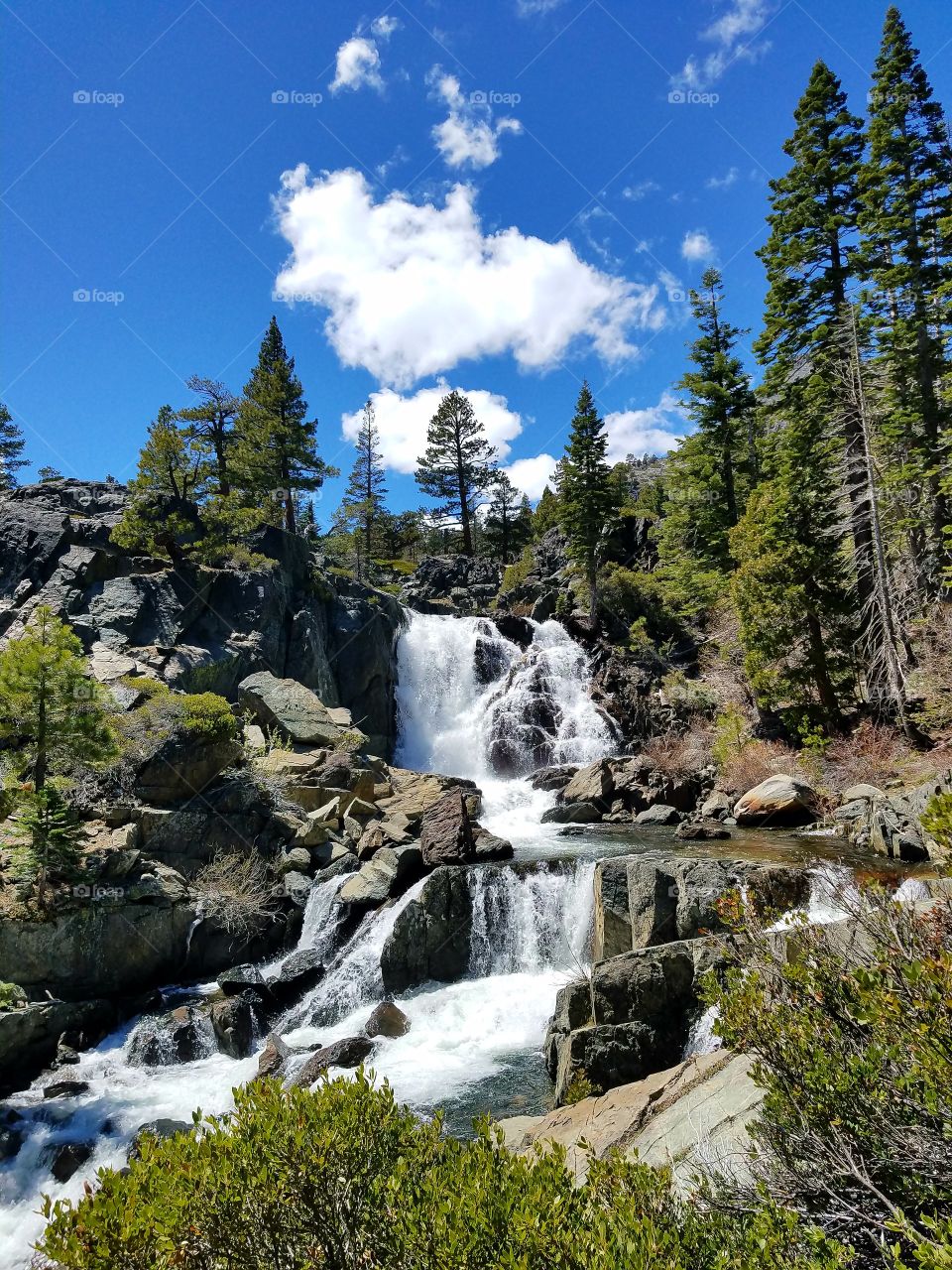 springtime waterfall in the Sierras