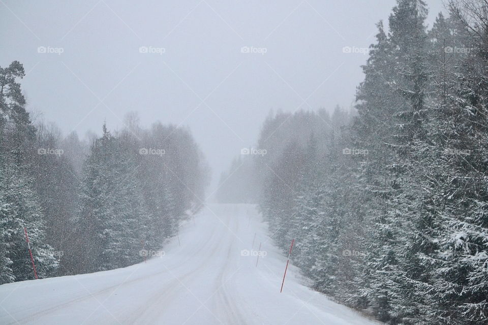 Winter road