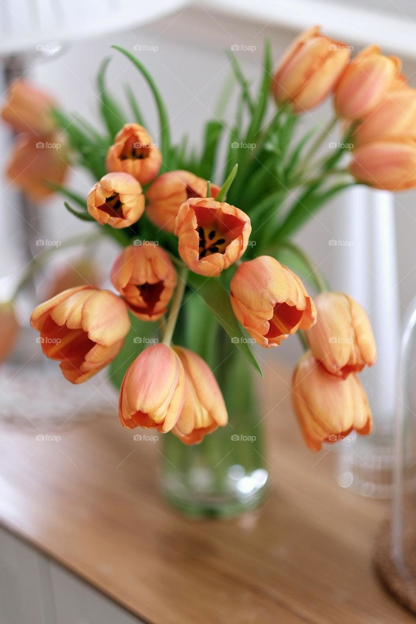 Tulips