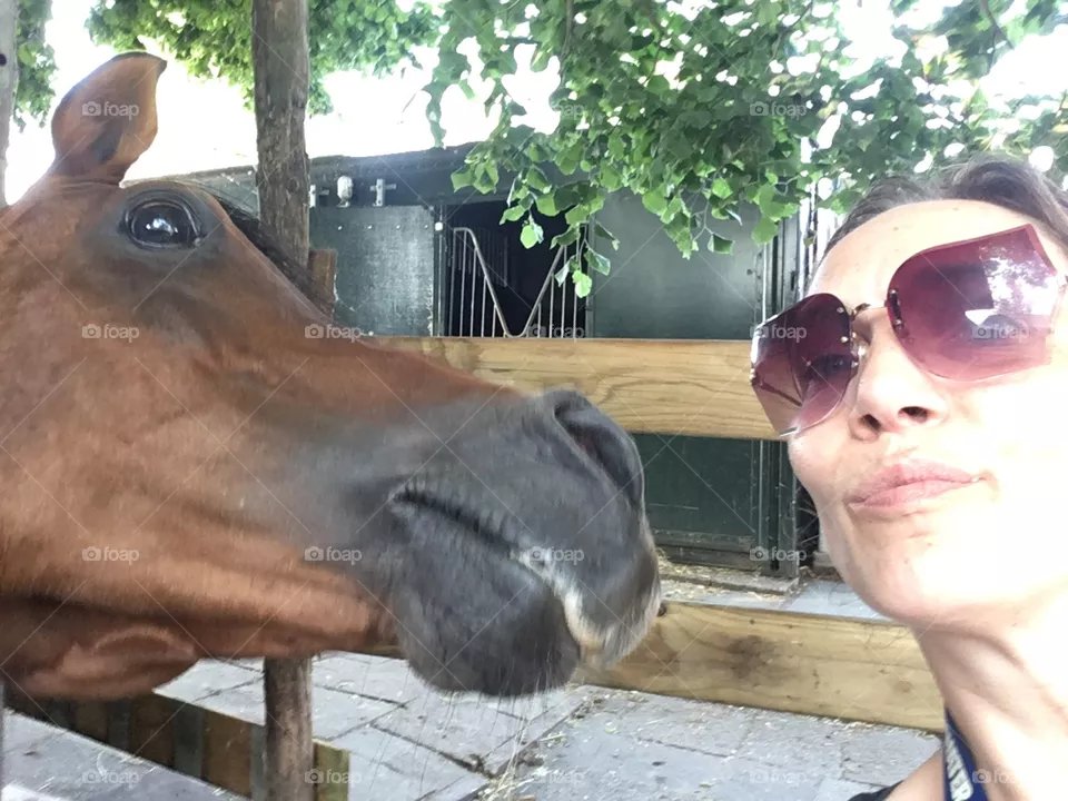 Fun togheter  stallion en woman 