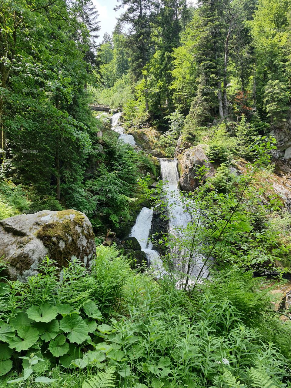 Gutach Wasserfall im Schwarzwald