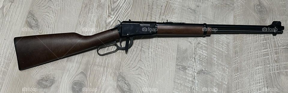 Henry 1001 .22 Lever Action Rifle 