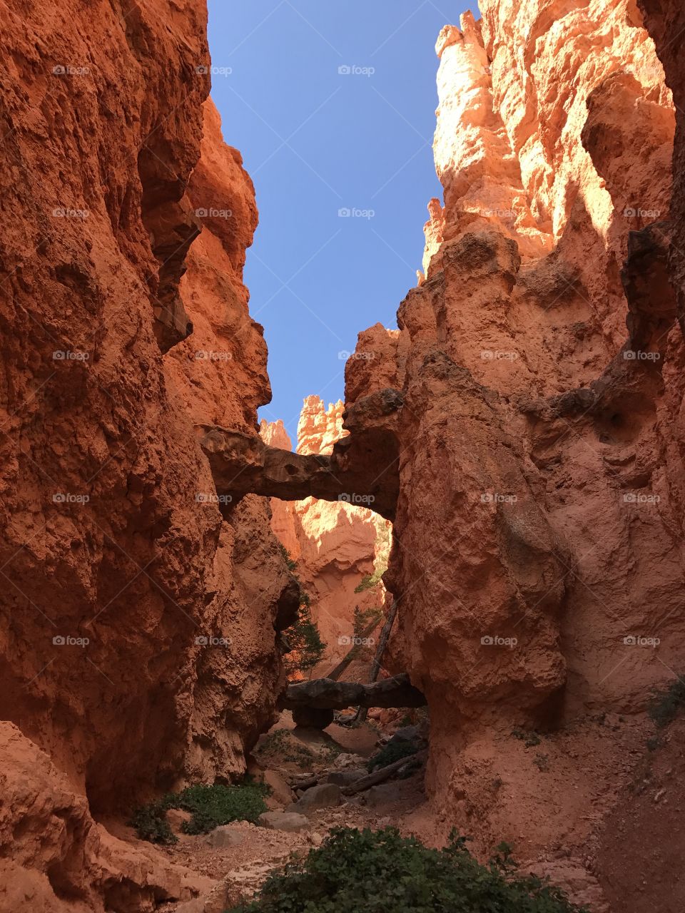 Bryce Canyon 